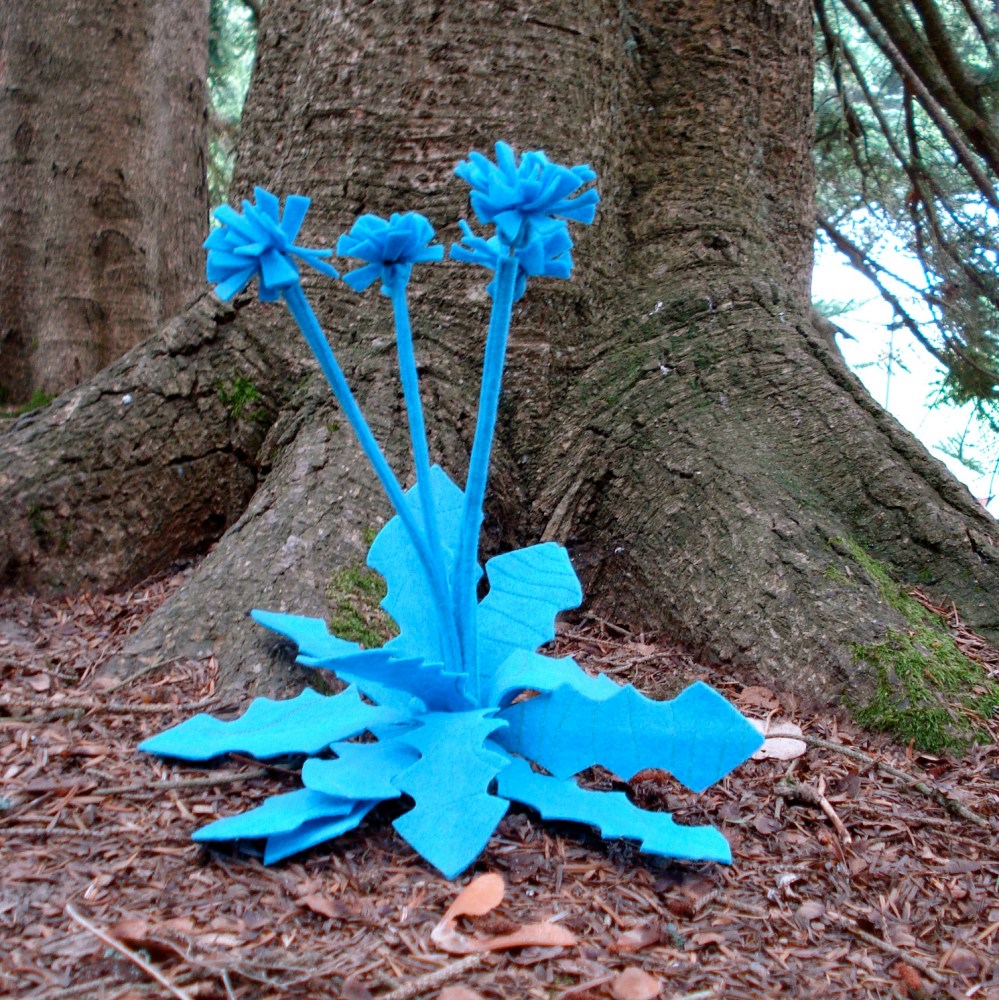 arts in nature festival '09