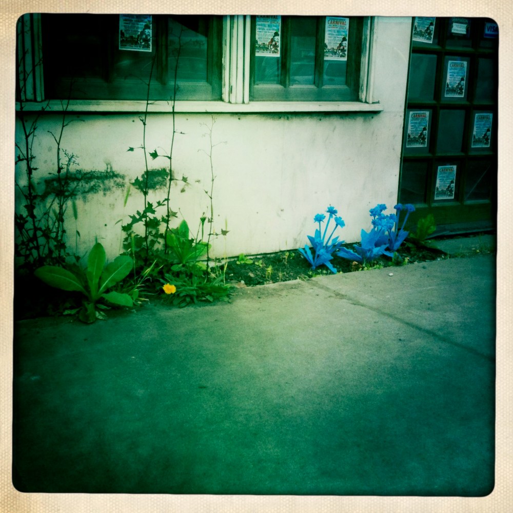 at georgetown carnival '11