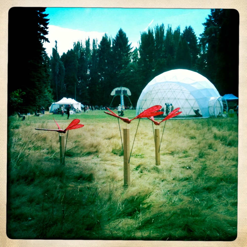 d r a g o n f l i e s