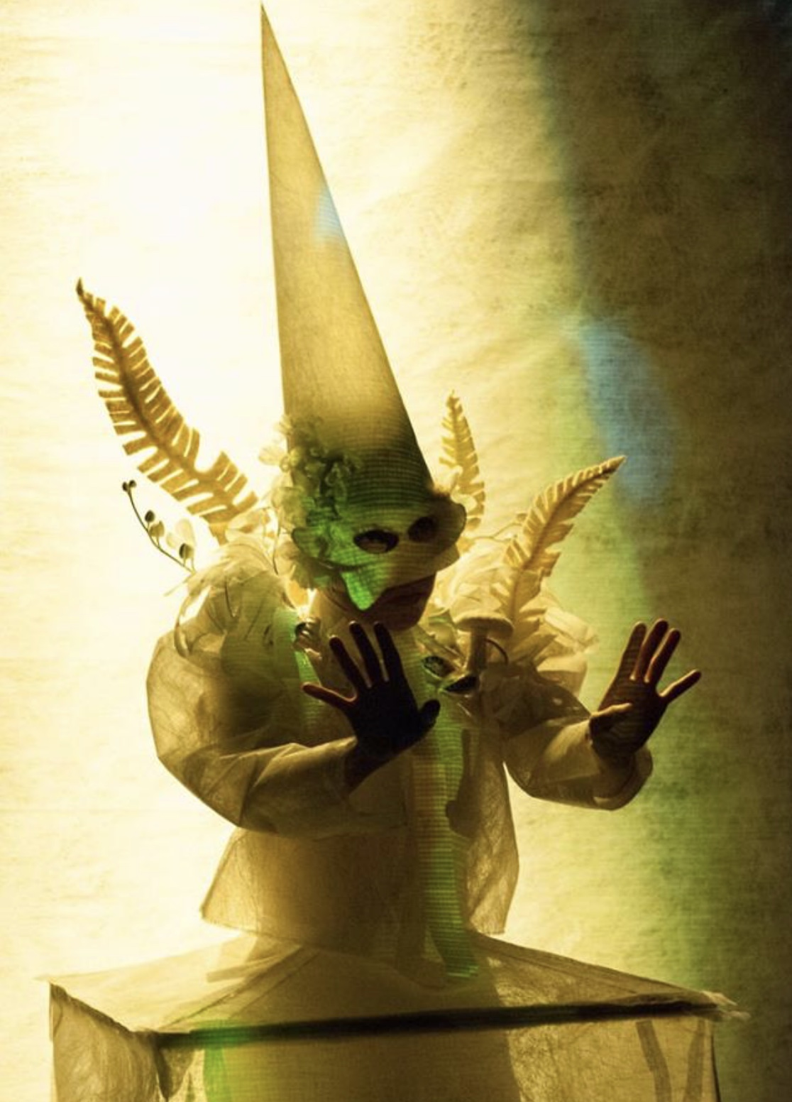 126AB522-4AD5-4B95-8EE6-09373E6A9E40