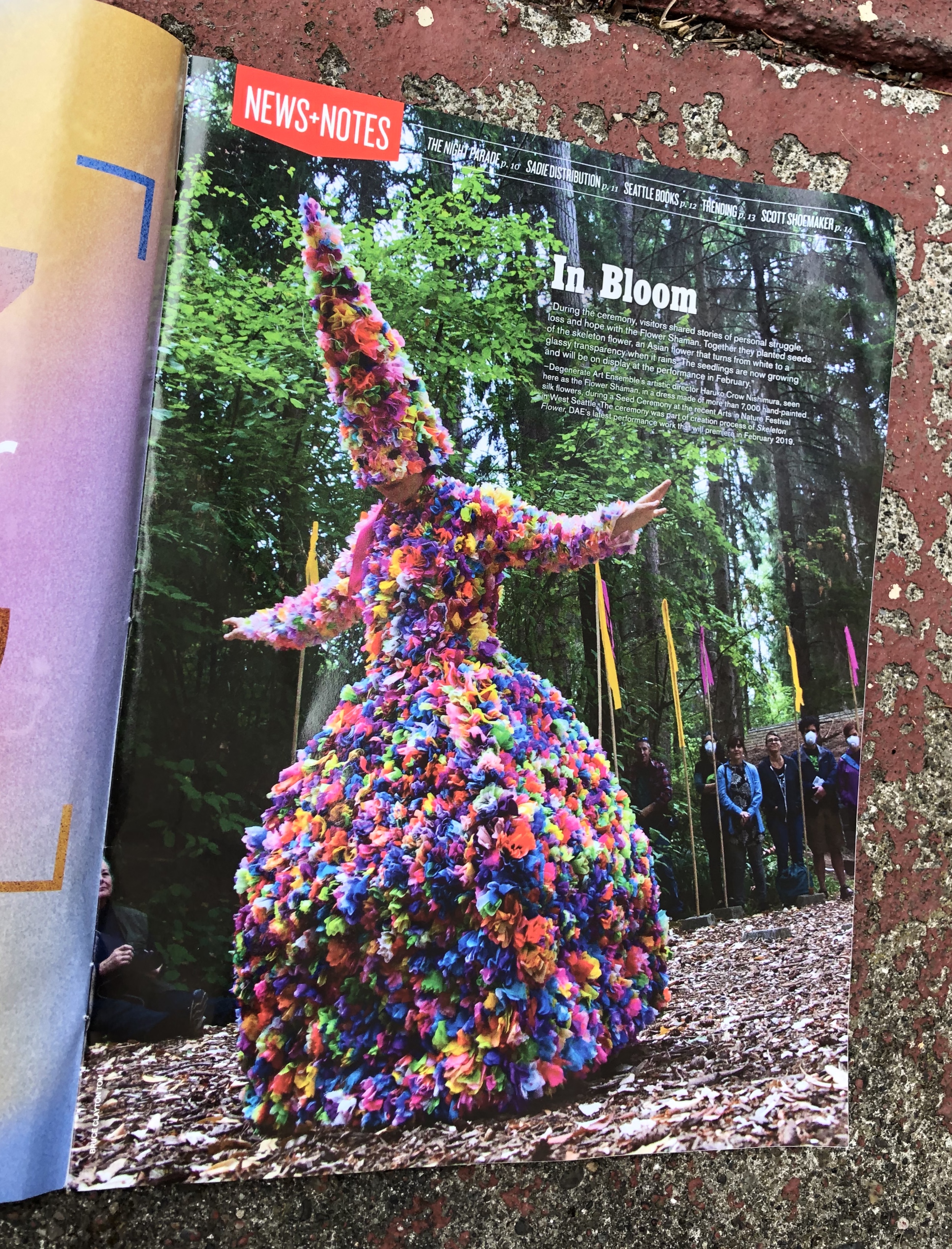 CFF7B456-F1FC-481D-961C-A9FE7A2C521C